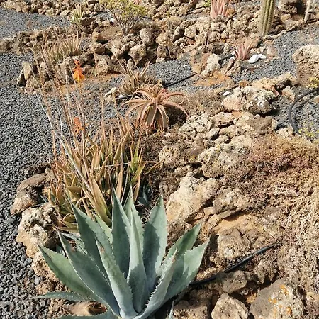 بيت للعطل Relax 1 A 10 Minutos De Corralejo Villaverde (Fuerteventura)